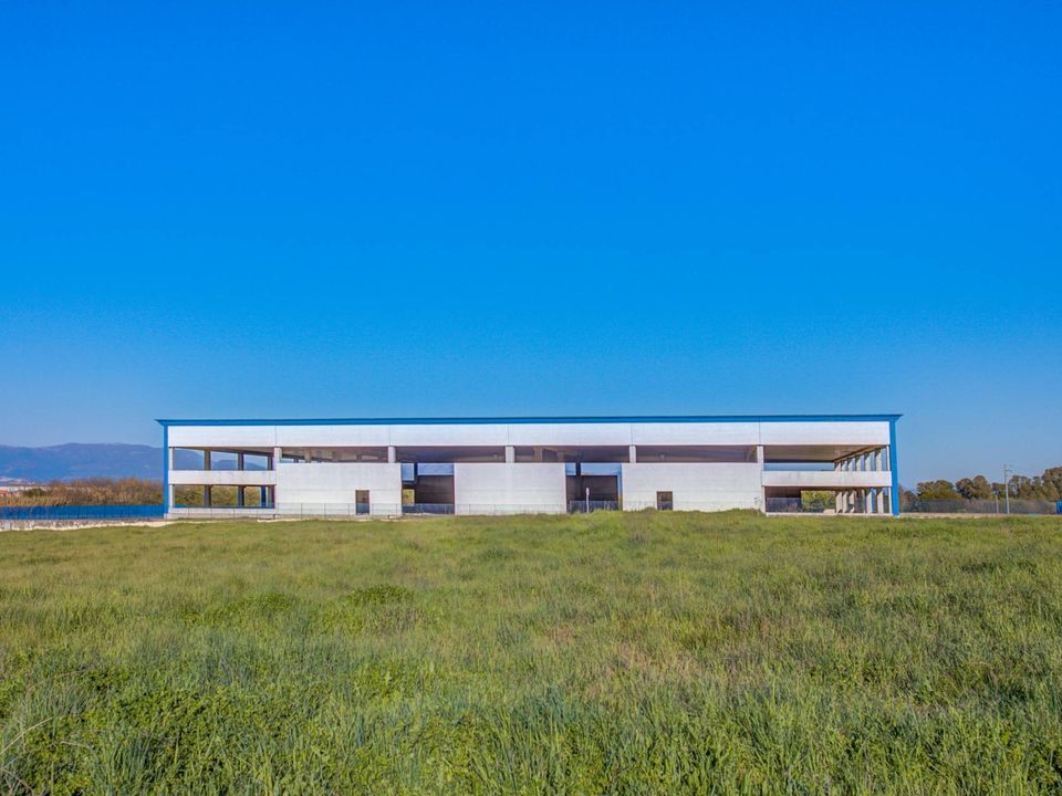 Commercial property in Aprilia, Latina - photo 5