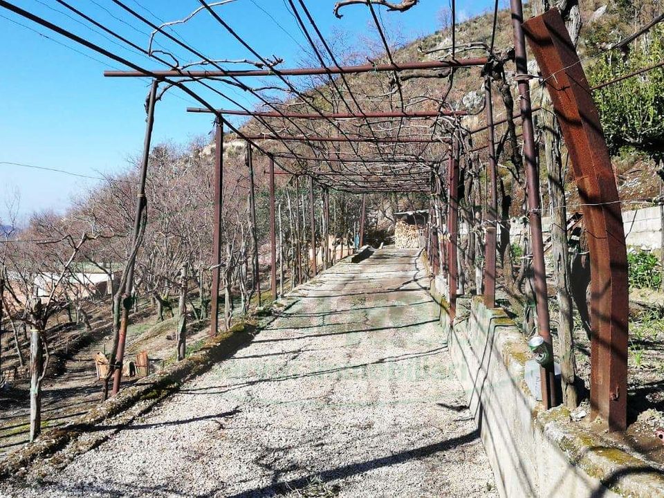 Helårsgrund i Quadrelle, Avellino - foto 4