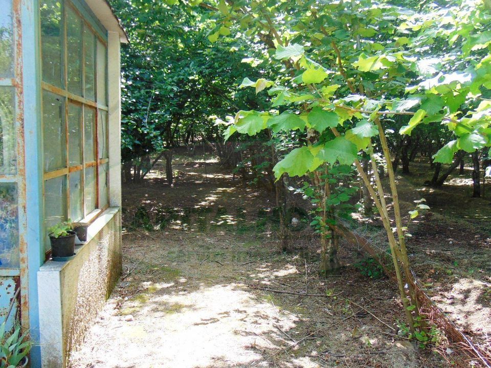 Helårsgrund i Baiano, Avellino - foto 5