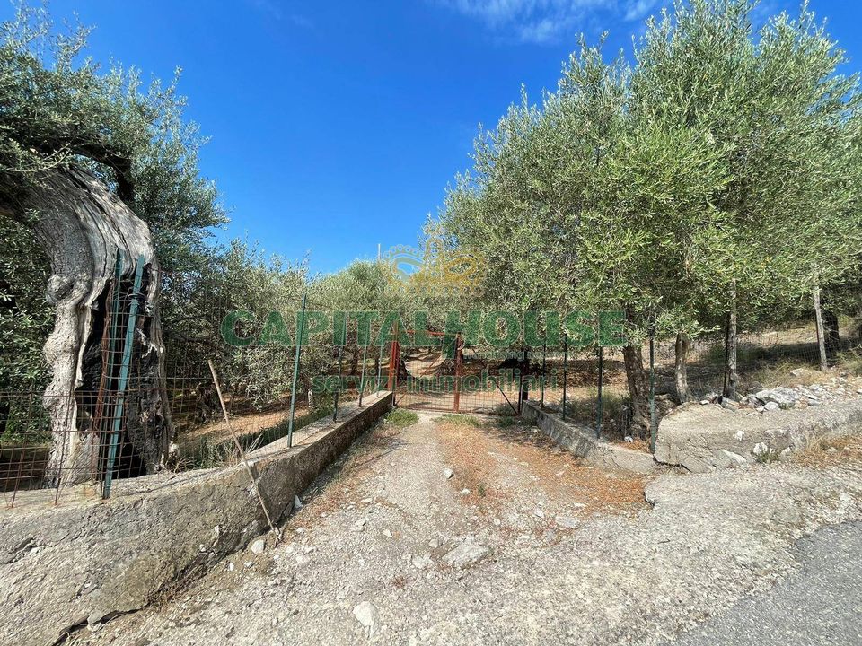 Helårsgrund i Avella, Avellino - foto 4