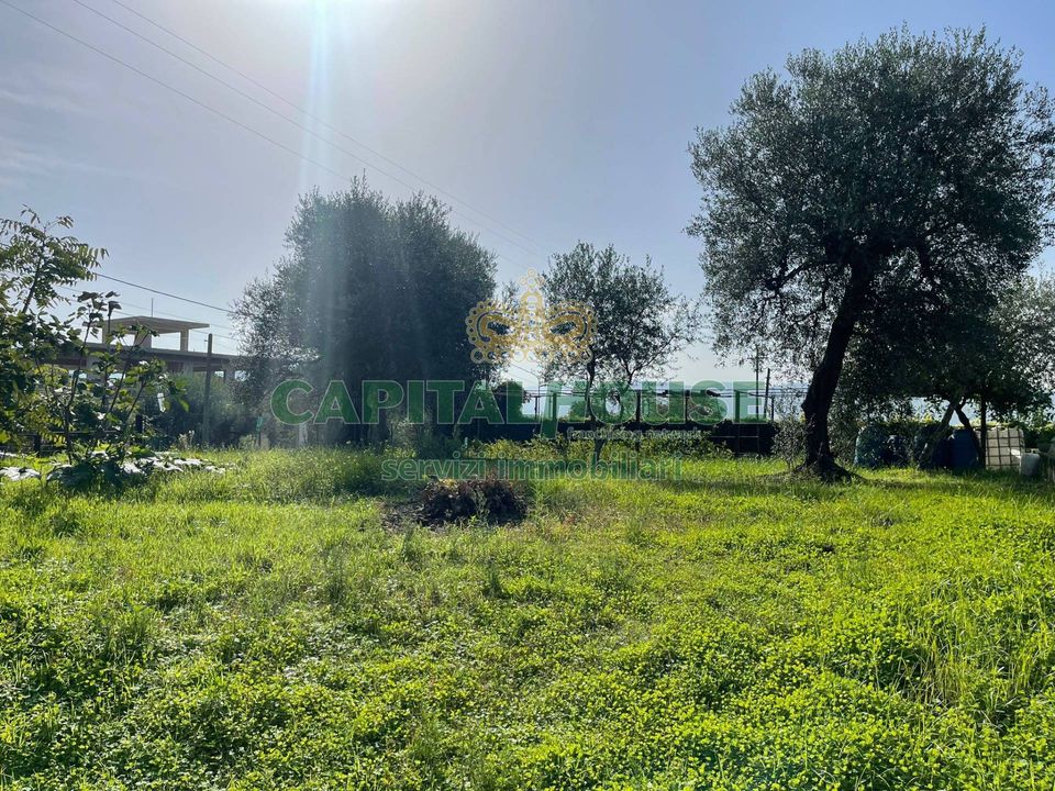 Helårsgrund i Avella, Avellino - foto 3