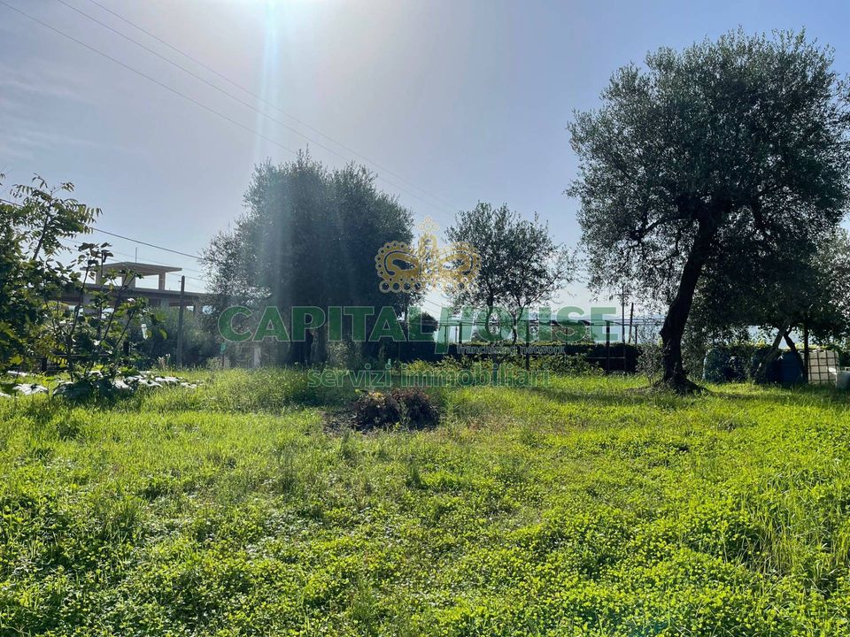 Helårsgrund i Avella, Avellino - foto 4