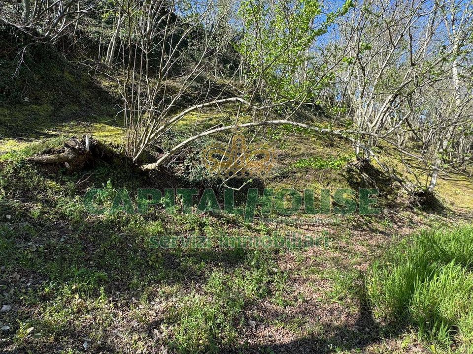 Helårsgrund i Mugnano del Cardinale, Avellino - foto 5