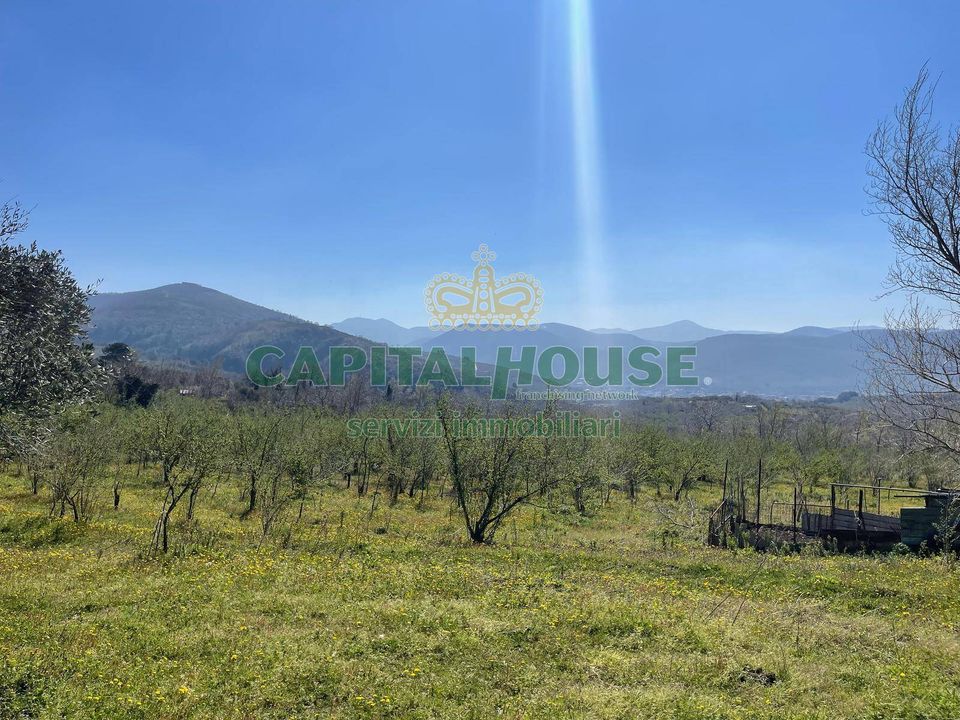 Helårsgrund i Avella, Avellino - foto 4