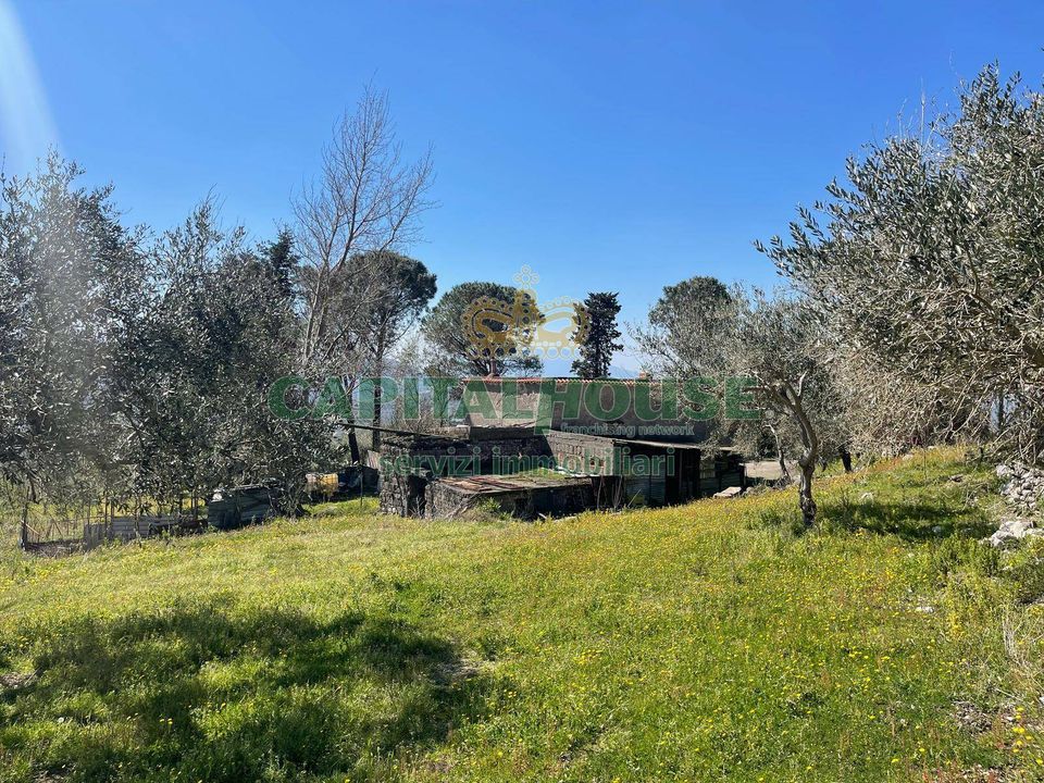 Helårsgrund i Avella, Avellino - foto 5