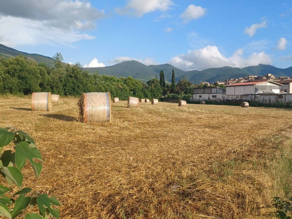 Helårsgrund i Amaseno, Frosinone - foto 1
