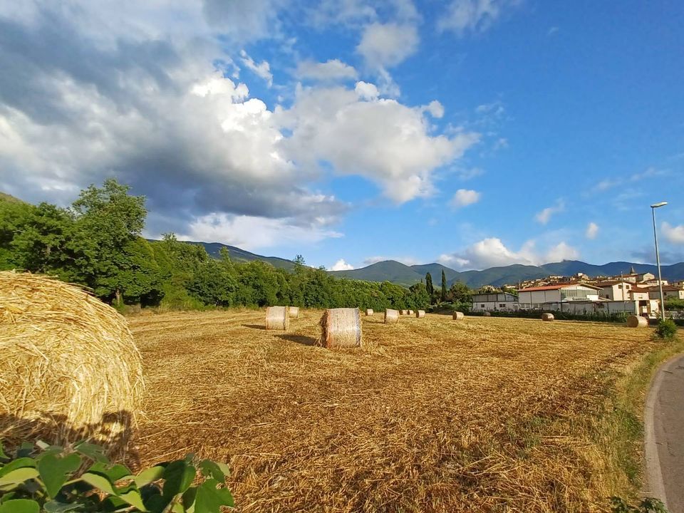 Helårsgrund i Amaseno, Frosinone - foto 2