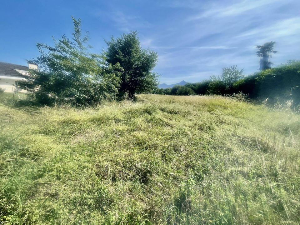 Terra a Frosinone, Frosinone - foto 3