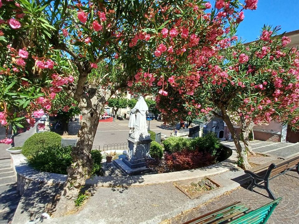 Erhvervsejendom i Vallecorsa, Frosinone - foto 5