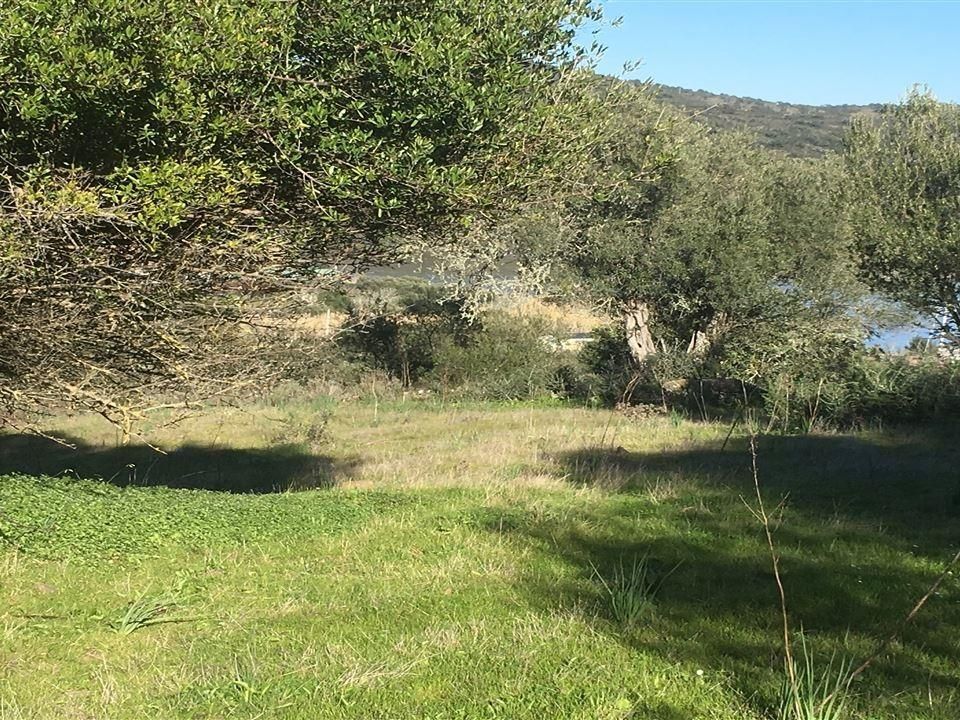 Helårsgrund i Castro Marim, Faro - foto 4