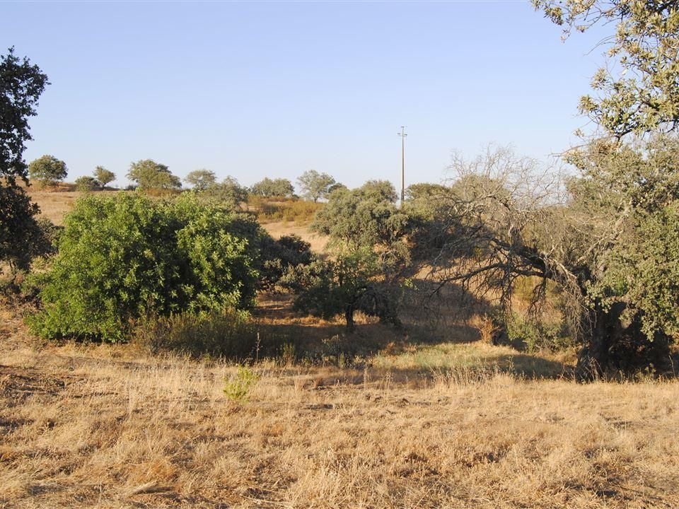 Helårsgrund i Castro Marim, Faro - foto 1
