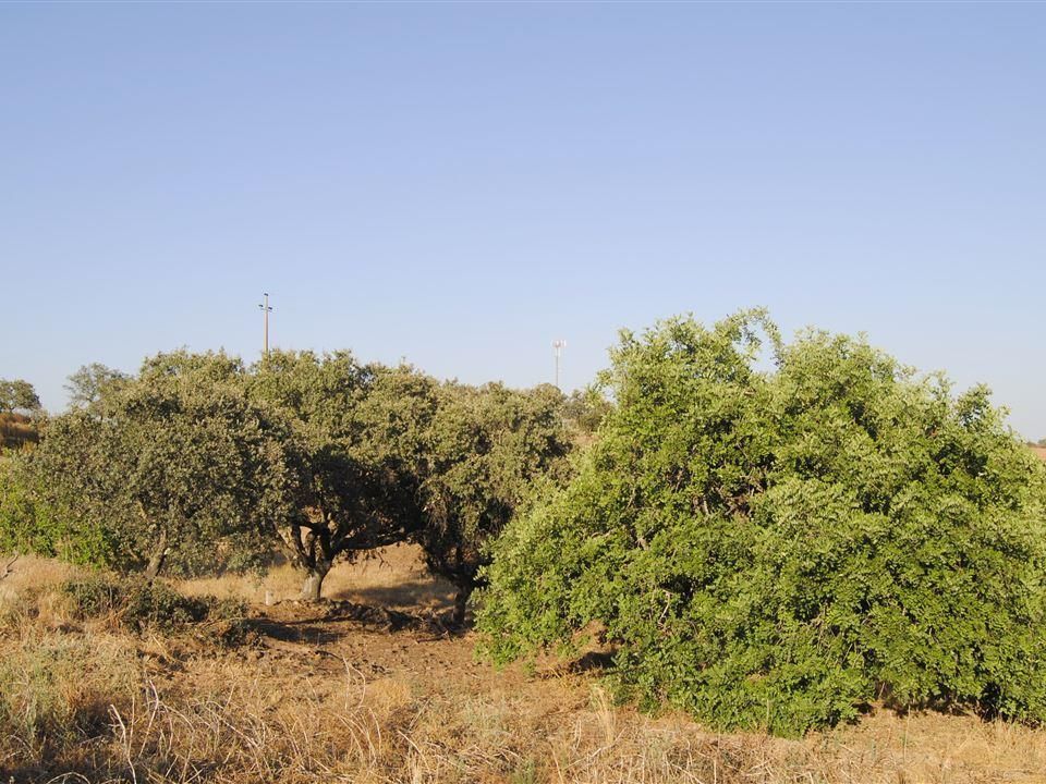 Helårsgrund i Castro Marim, Faro - foto 2