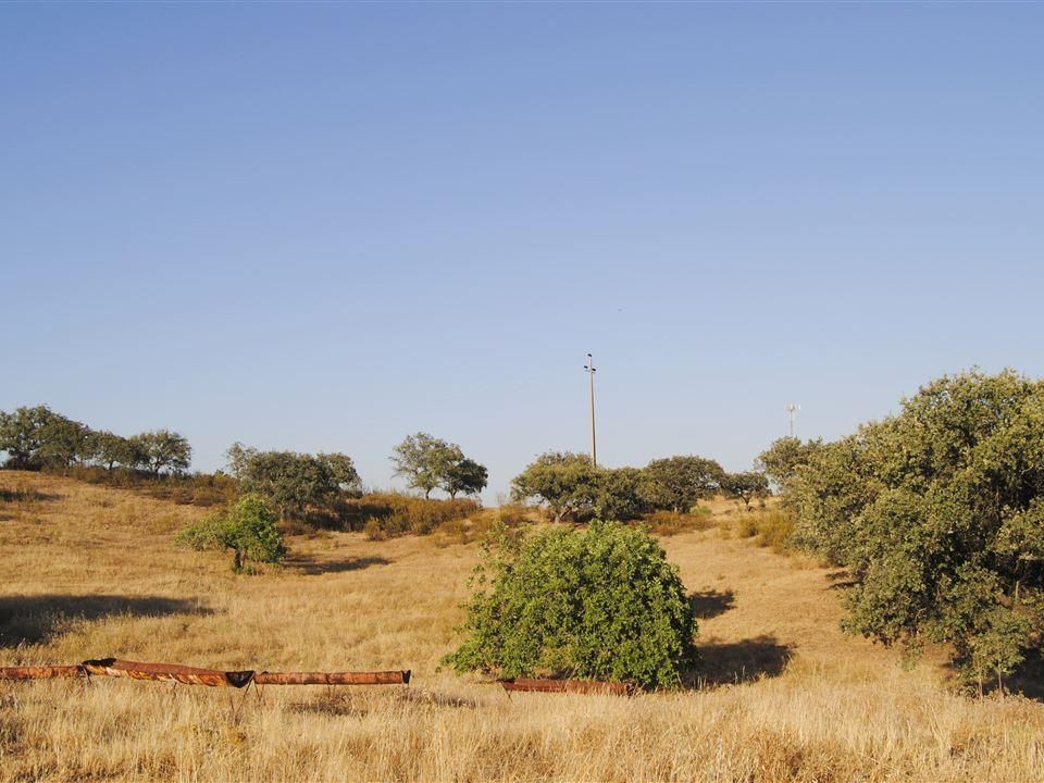 Helårsgrund i Castro Marim, Faro - foto 3