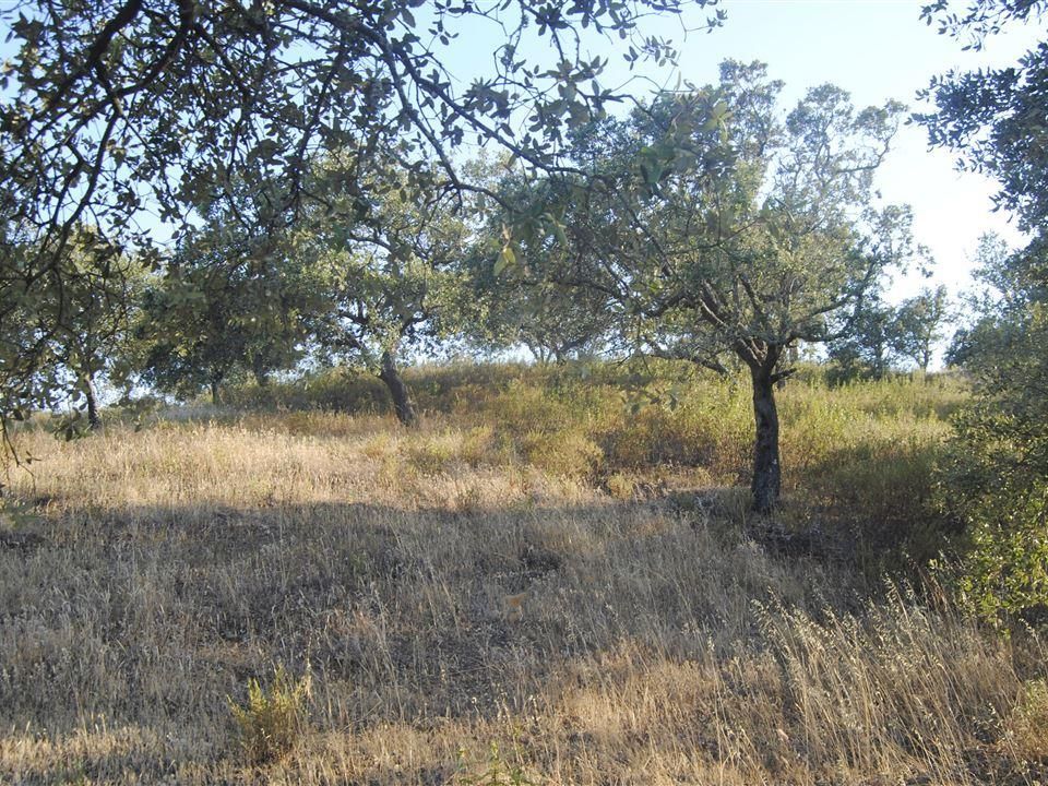 Helårsgrund i Castro Marim, Faro - foto 5