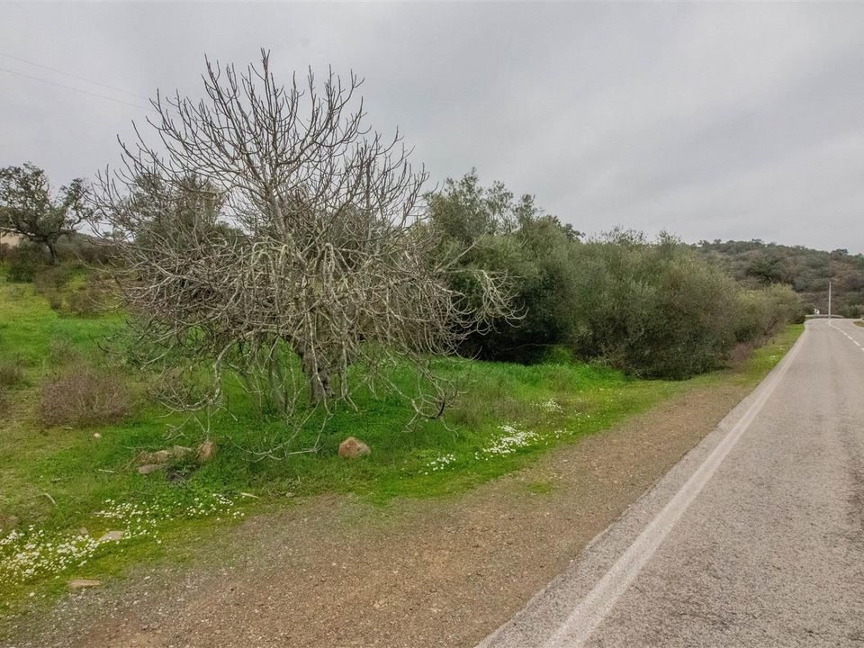 Helårsgrund i Castro Marim, Faro - foto 3