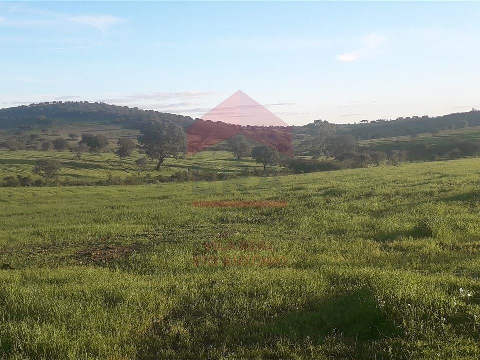 Villa i Mertola, Beja - foto 1