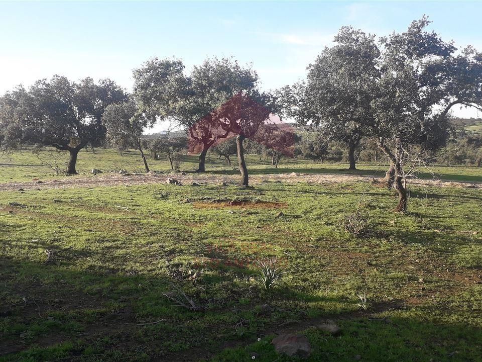 Villa i Mertola, Beja - foto 2