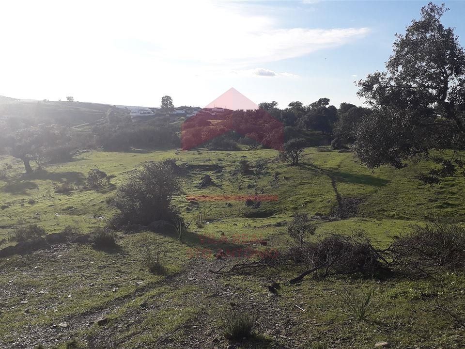Villa i Mertola, Beja - foto 3