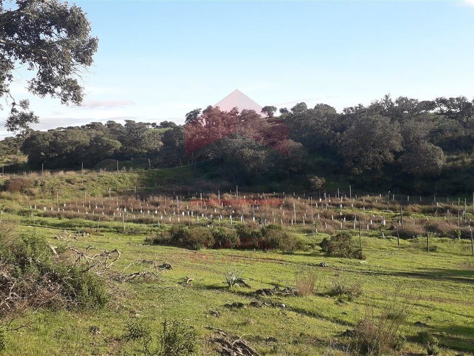 Villa i Mertola, Beja - foto 4