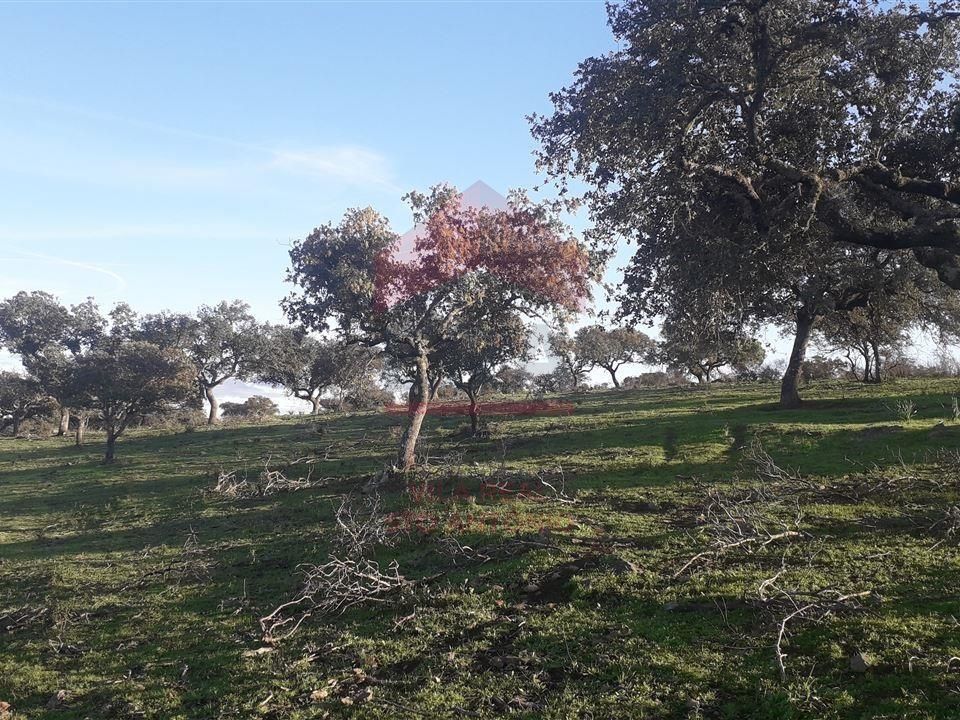 Villa i Mertola, Beja - foto 5