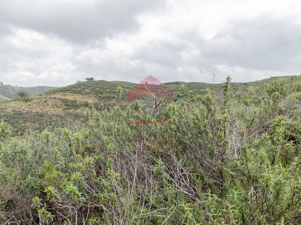 Helårsgrund i Castro Marim, Faro - foto 3