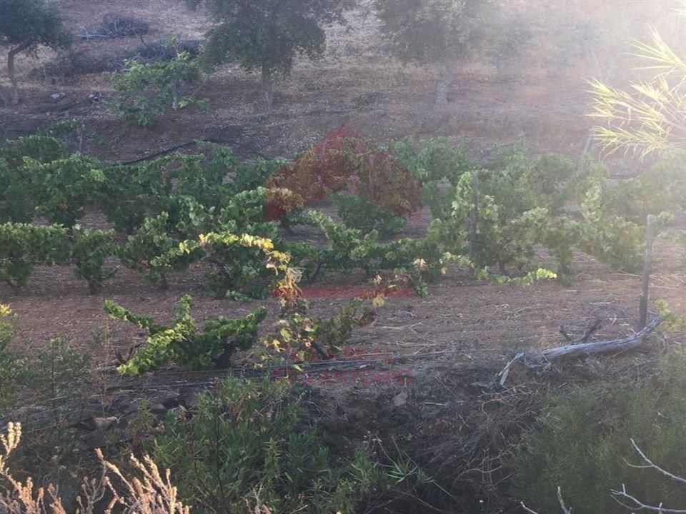 Helårsgrund i Castro Marim, Faro - foto 3