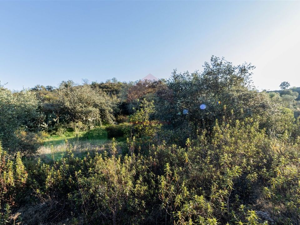 Helårsgrund i Castro Marim, Faro - foto 2