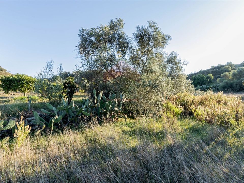 Helårsgrund i Castro Marim, Faro - foto 5