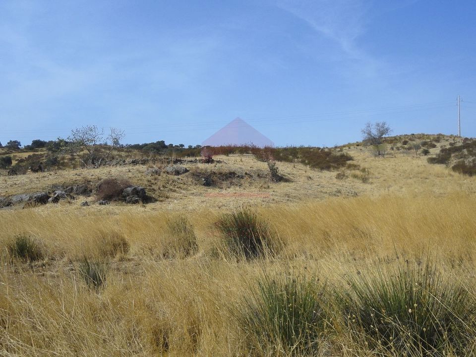 Helårsgrund i Castro Marim, Faro - foto 3