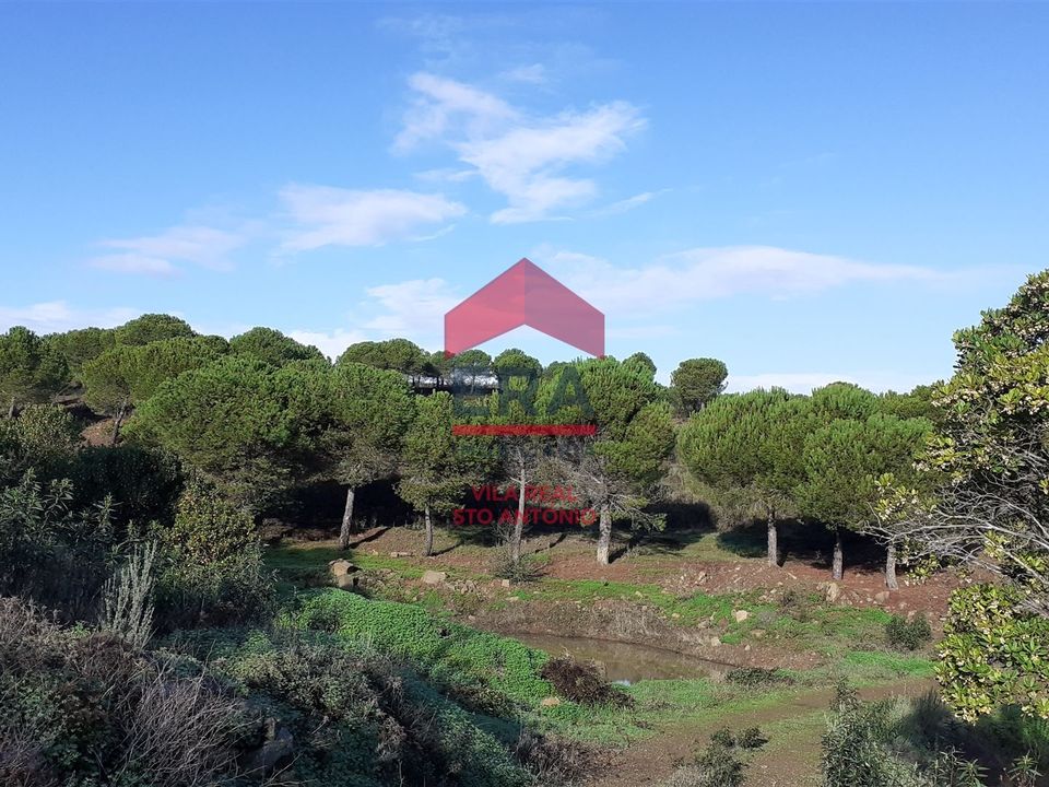 Helårsgrund i Castro Marim, Faro - foto 2