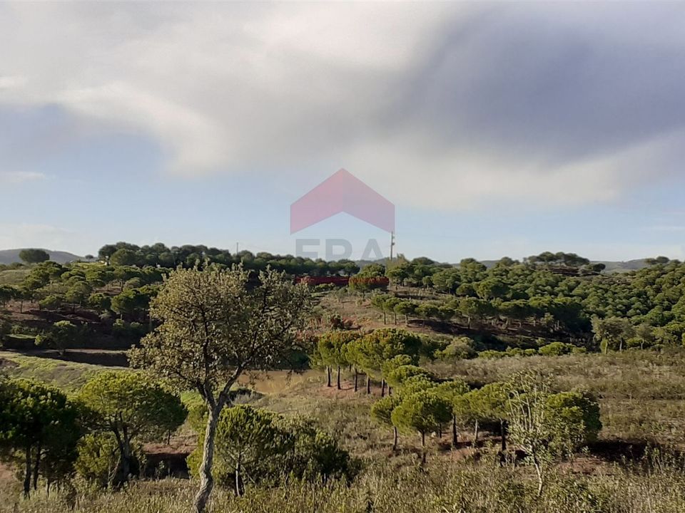 Helårsgrund i Castro Marim, Faro - foto 3