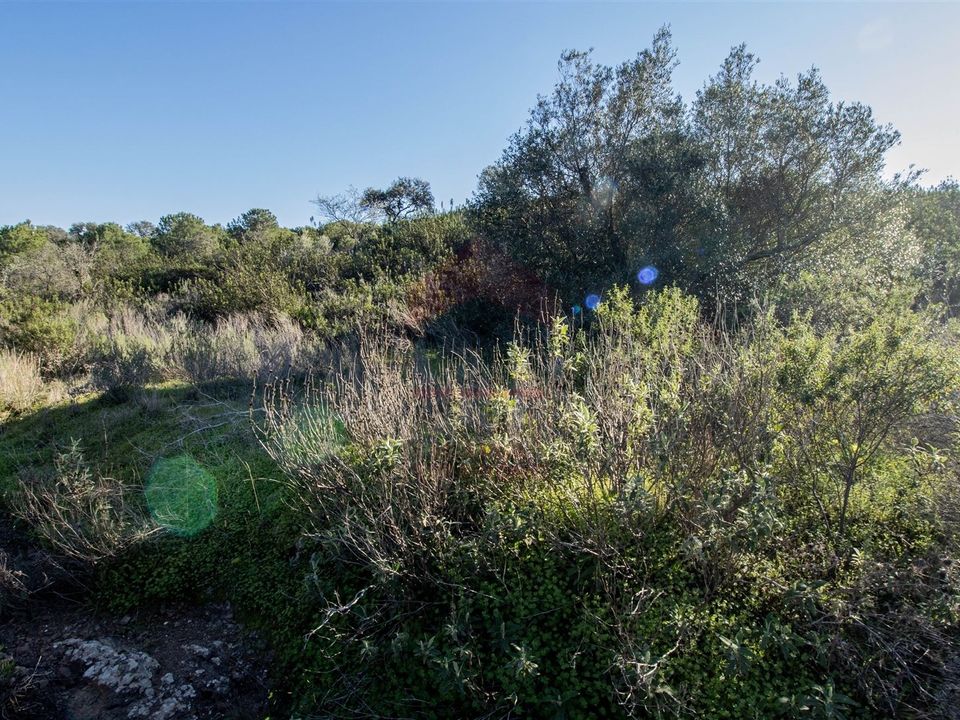 Helårsgrund i Castro Marim, Faro - foto 3
