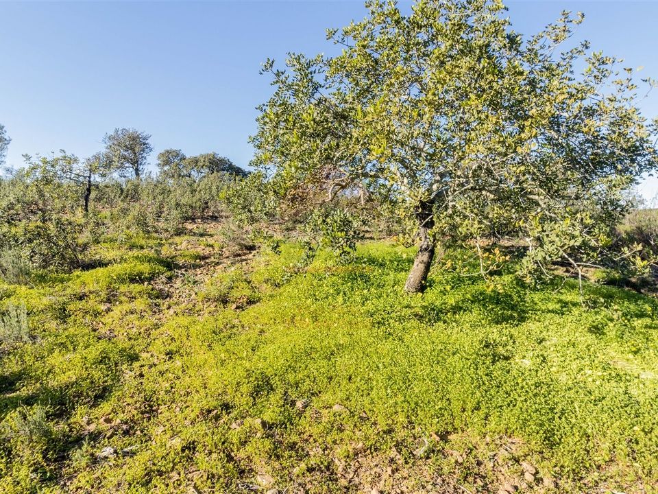 Helårsgrund i Castro Marim, Faro - foto 4
