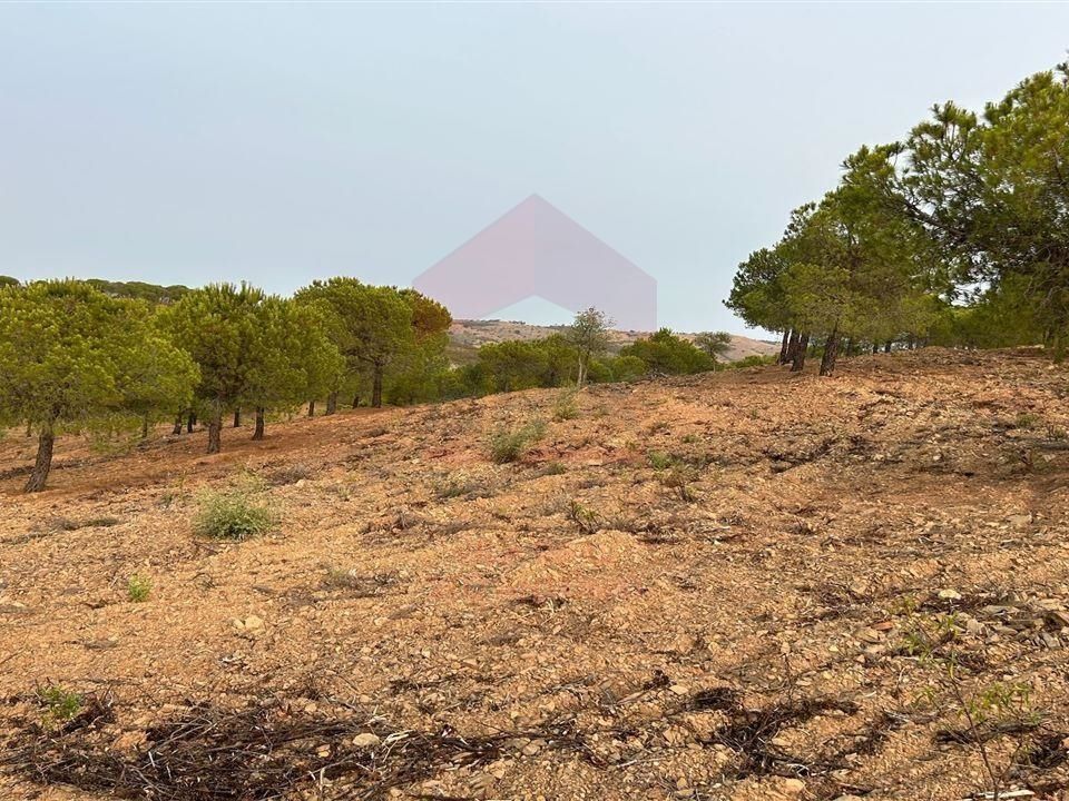 Helårsgrund i Castro Marim, Faro - foto 3