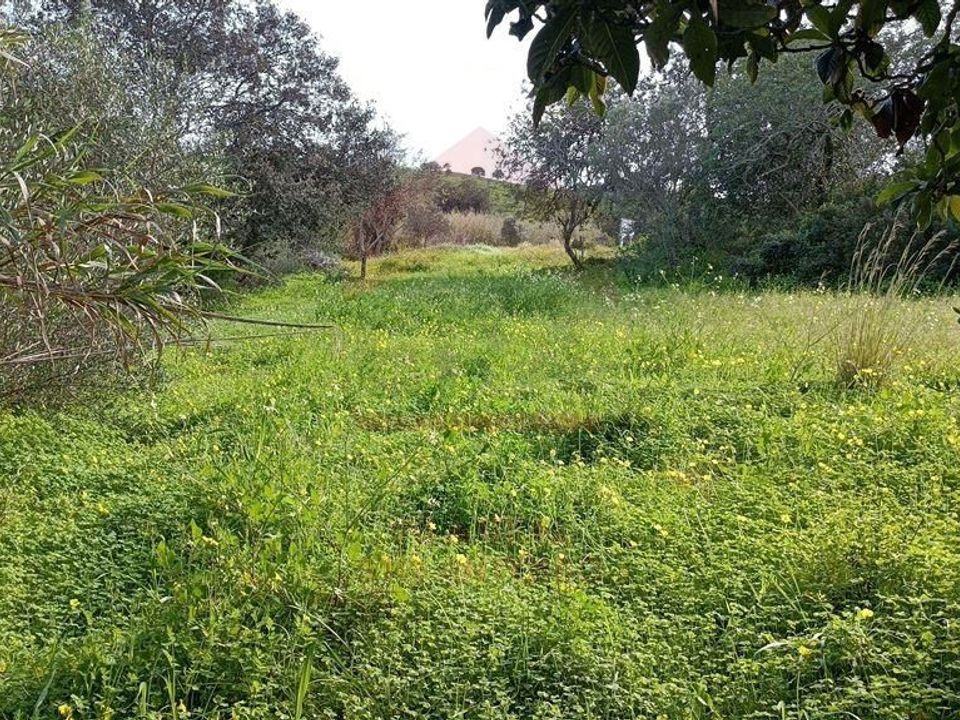 Helårsgrund i Castro Marim, Faro - foto 5