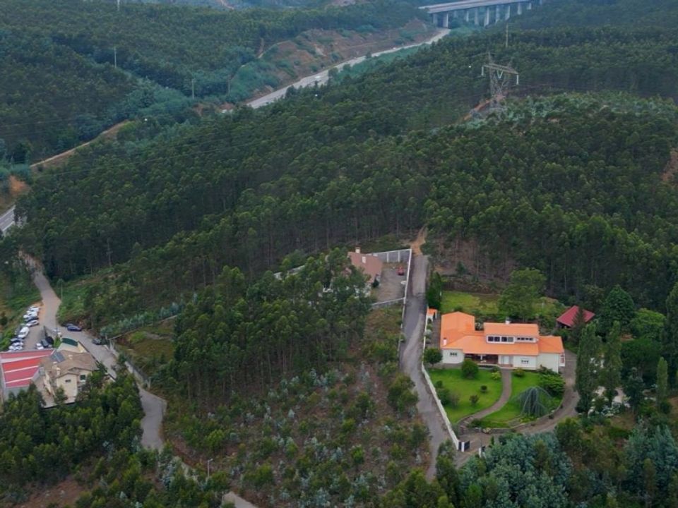 Farm i Oliveira de Azemeis, Aveiro - foto 2