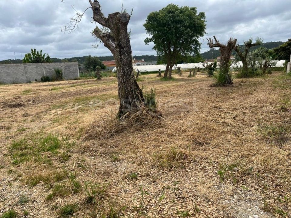 Helårsgrund i Souto da Carpalhosa e Ortigosa, Leiria - foto 1