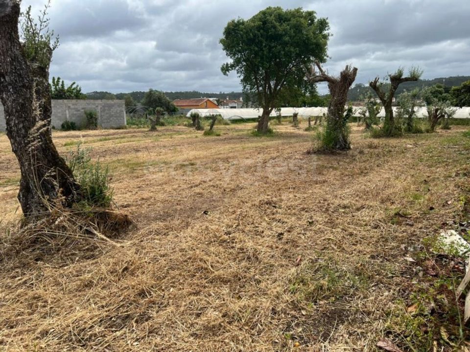 Helårsgrund i Souto da Carpalhosa e Ortigosa, Leiria - foto 2