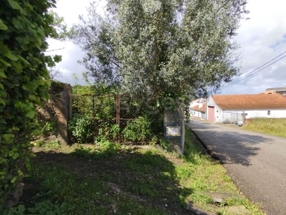 Tomt i Monte Real, Leiria - bilde 3