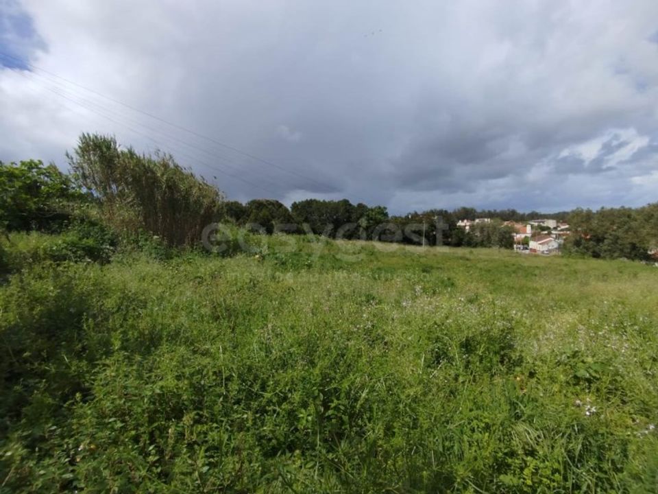 Tomt i Monte Real, Leiria - bilde 4
