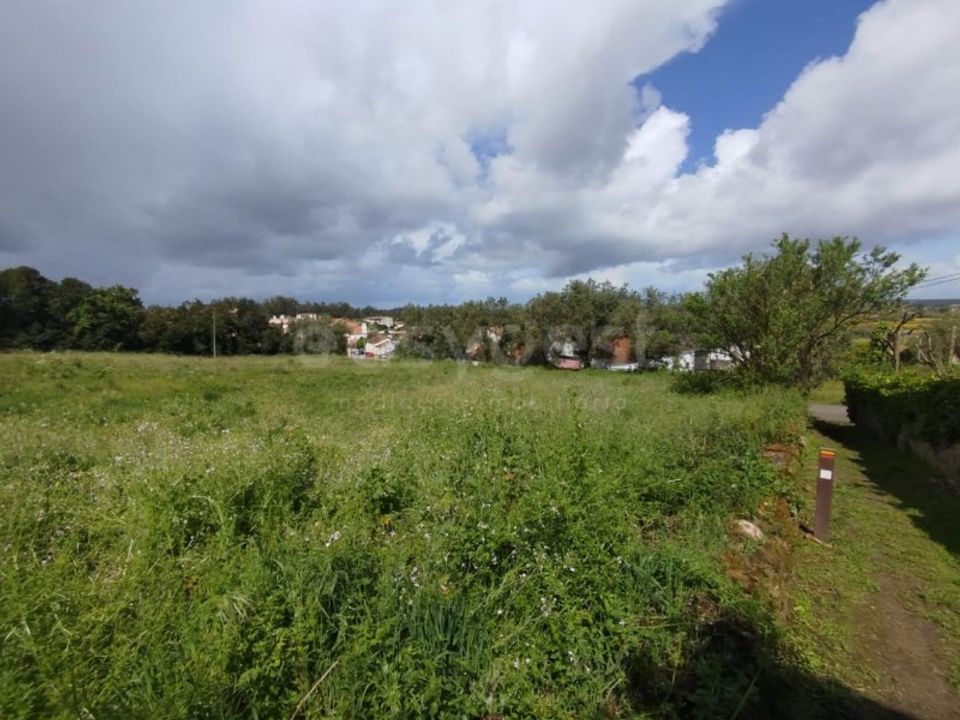 Tomt i Monte Real, Leiria - bilde 5