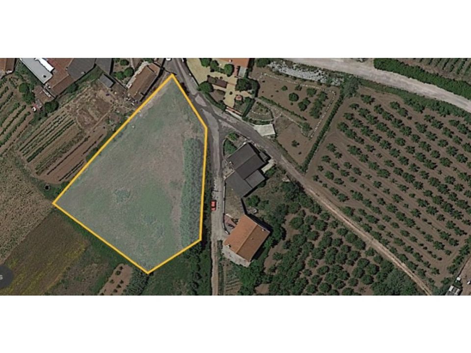 Helårsgrund i Bombarral, Leiria - foto 3