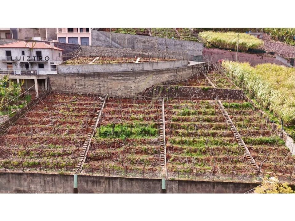 Helårsgrund i Camara de Lobos, Madeira - foto 5