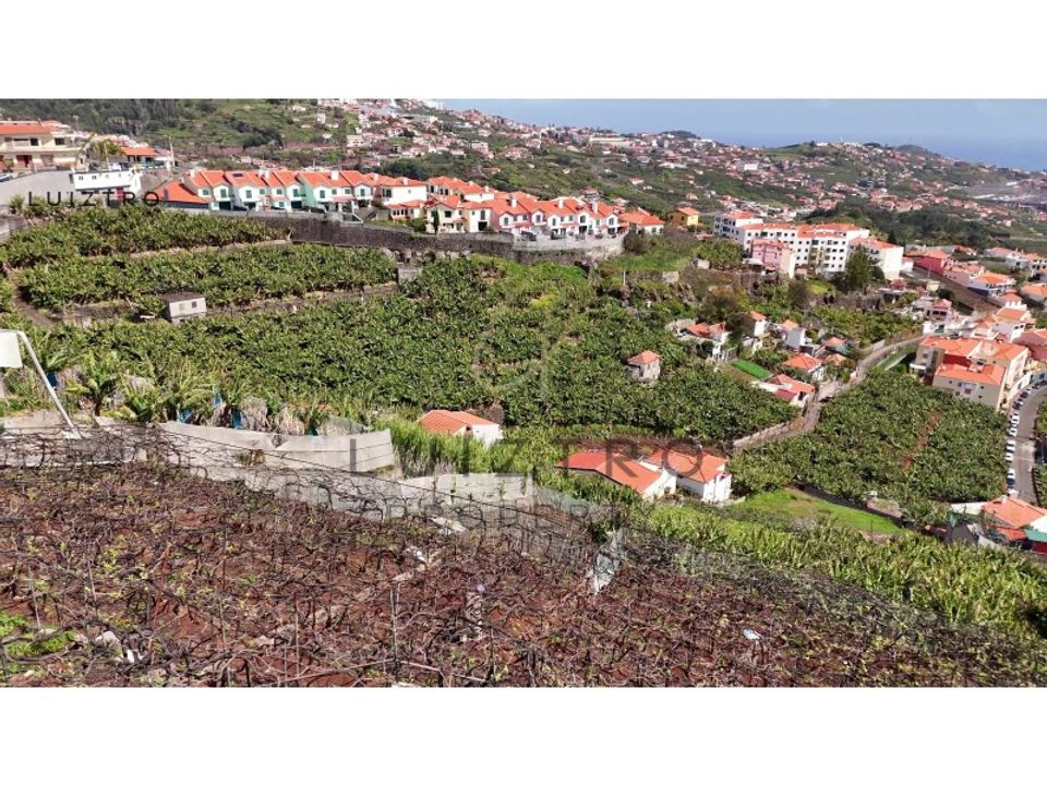 Helårsgrund i Camara de Lobos, Madeira - foto 4