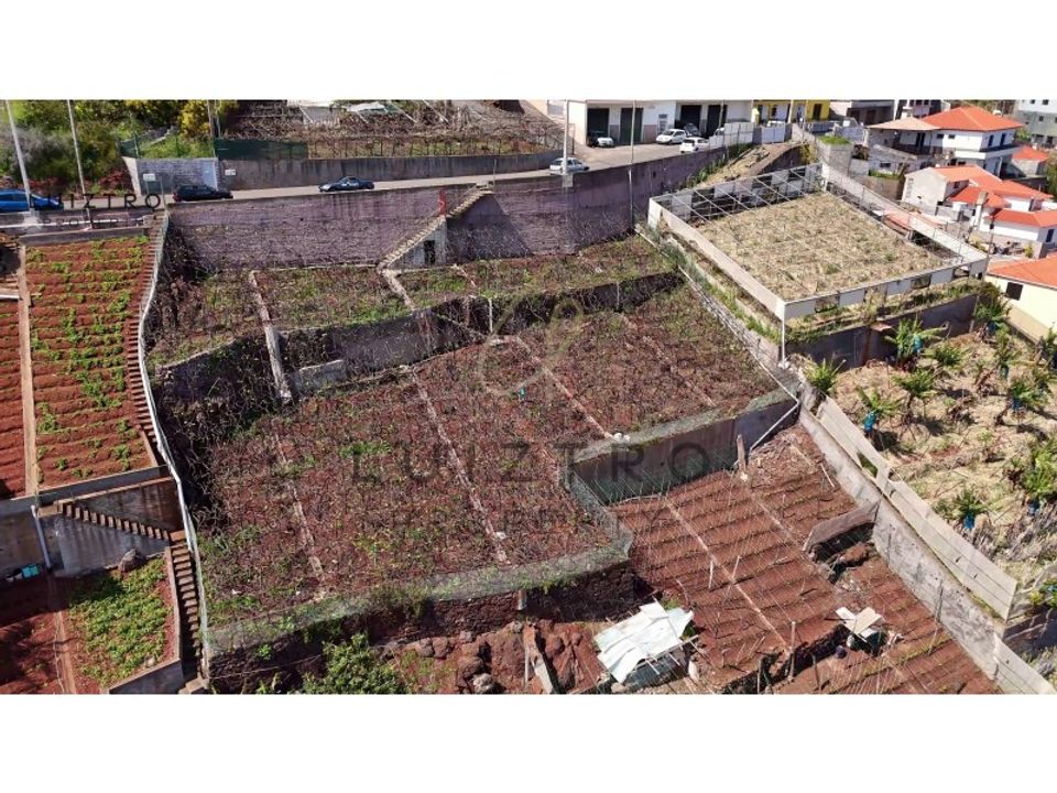 Helårsgrund i Camara de Lobos, Madeira - foto 5
