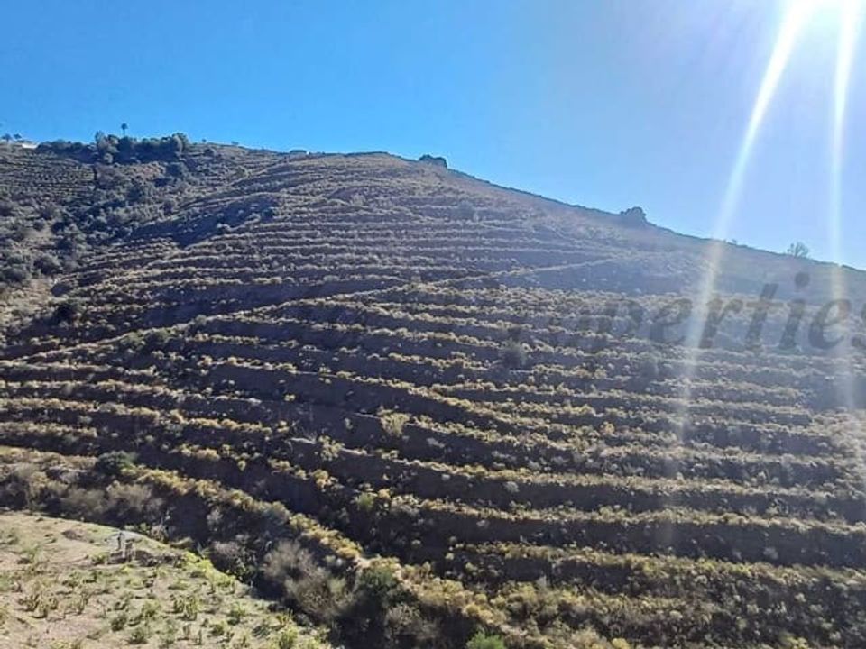 Helårsgrund i Torrox, Malaga - foto 1