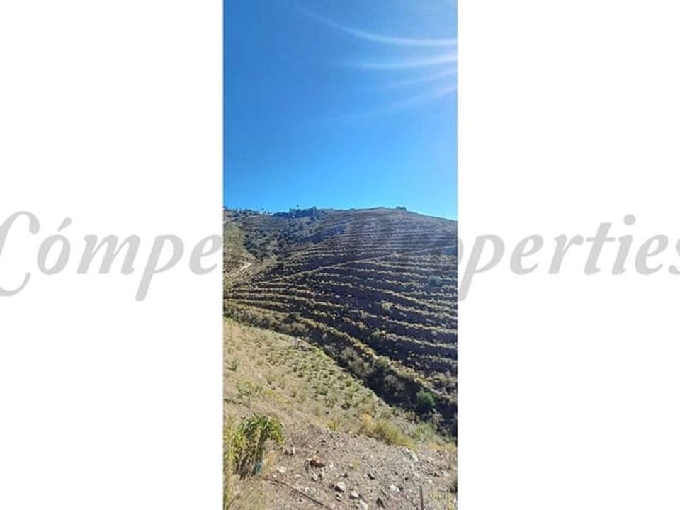 Helårsgrund i Torrox, Malaga - foto 4