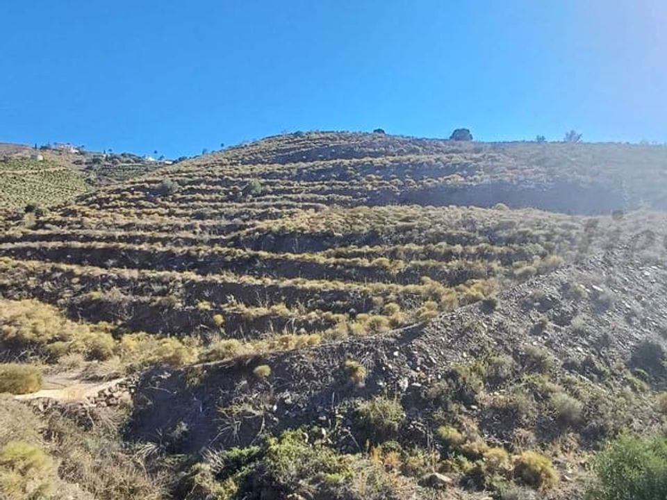 Helårsgrund i Torrox, Malaga - foto 5