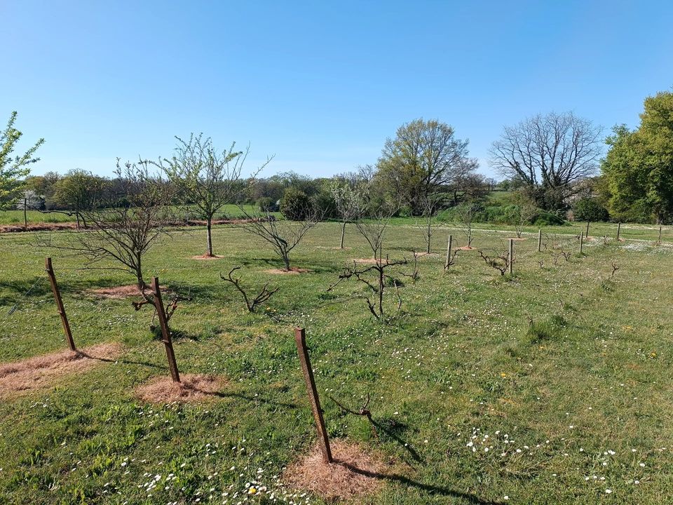 Villa i Montmorillon, Vienne - foto 2