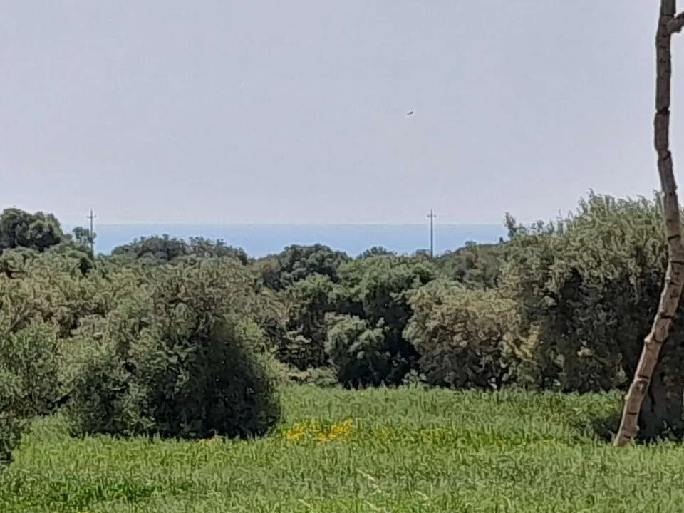 Herregård i Scicli, Ragusa - bilde 1